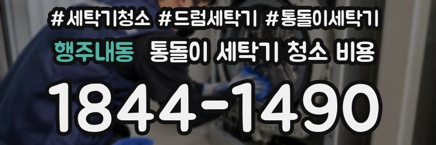 행주내동 통돌이 세탁기 청소 비용