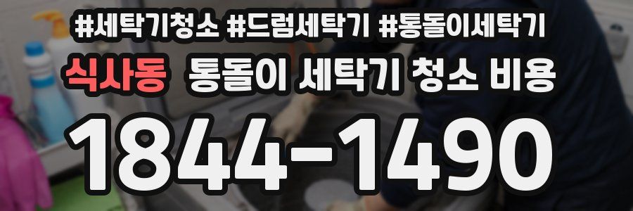 식사동 통돌이 세탁기 청소 비용