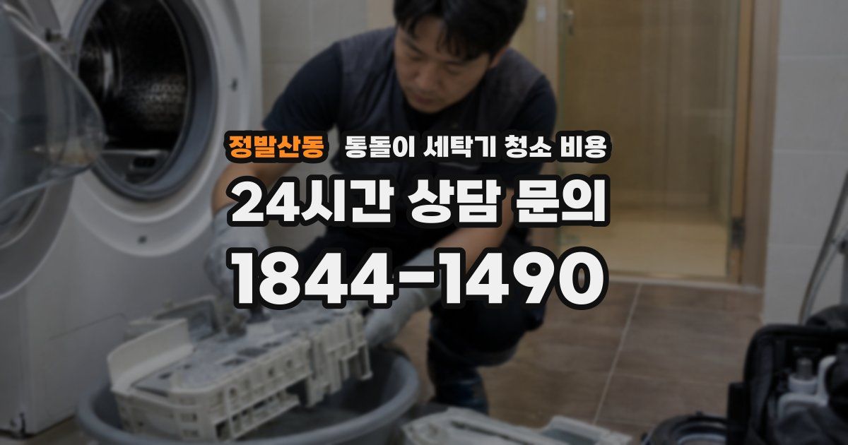 정발산동 통돌이 세탁기 청소 비용