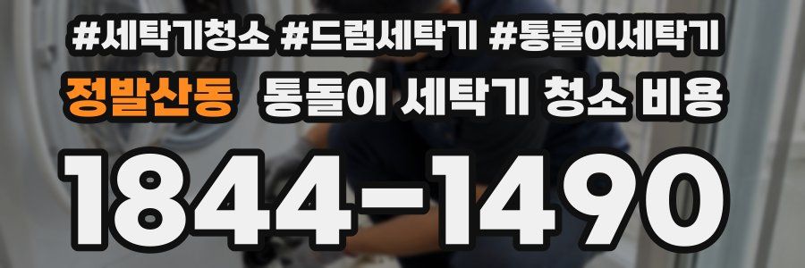 정발산동 통돌이 세탁기 청소 비용