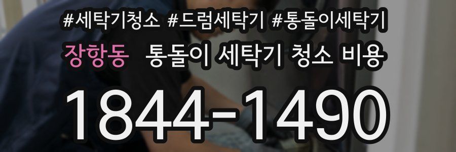 장항동 통돌이 세탁기 청소 비용