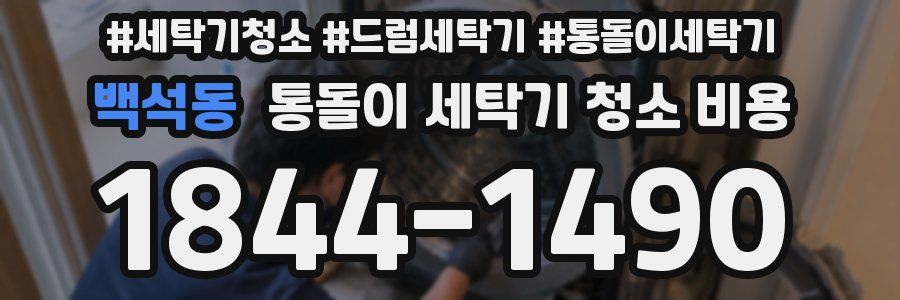 백석동 통돌이 세탁기 청소 비용