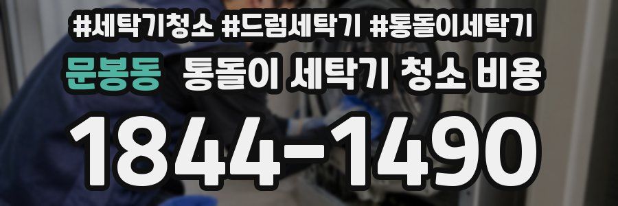 문봉동 통돌이 세탁기 청소 비용