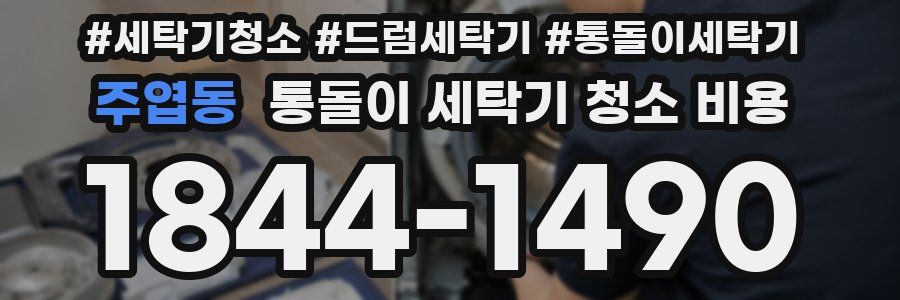 주엽동 통돌이 세탁기 청소 비용