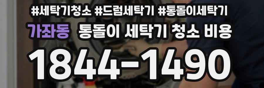 가좌동 통돌이 세탁기 청소 비용