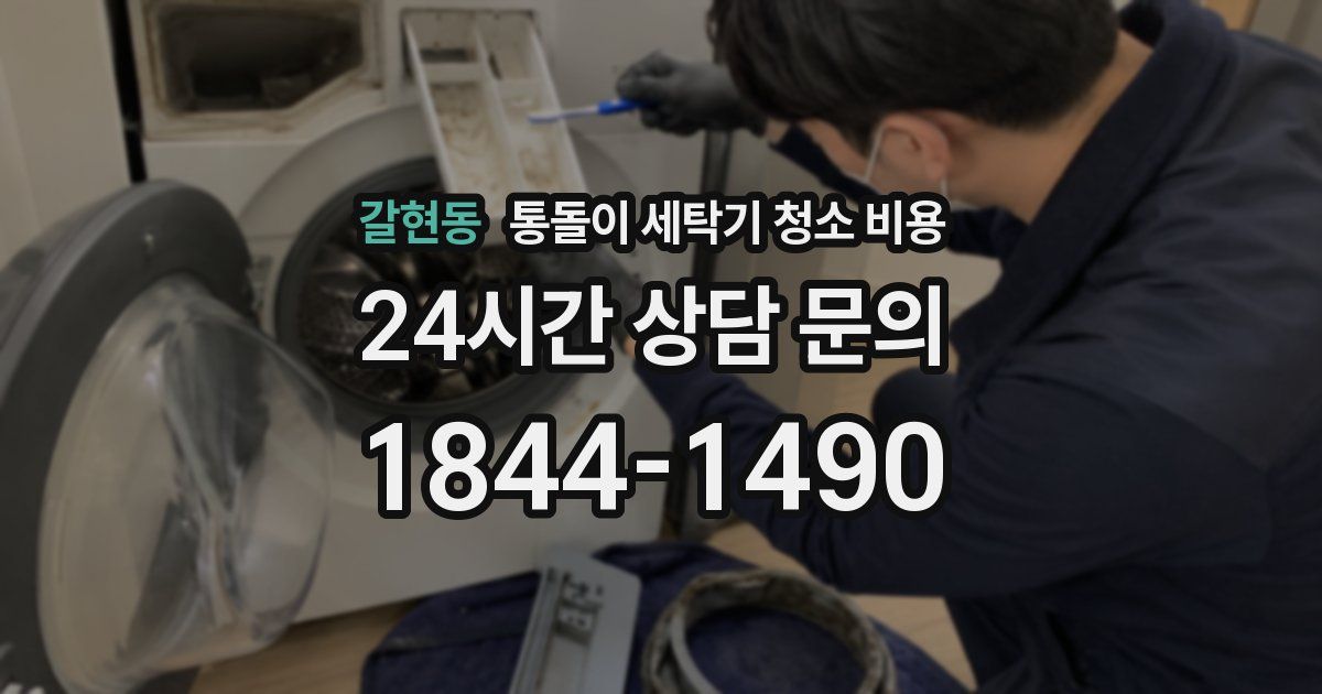 갈현동 통돌이 세탁기 청소 비용