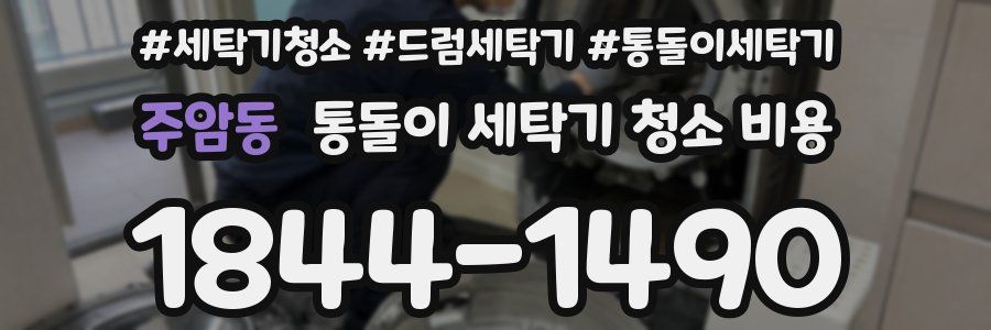 주암동 통돌이 세탁기 청소 비용