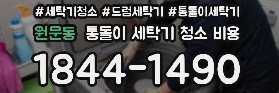 원문동 통돌이 세탁기 청소 비용