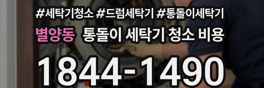 별양동 통돌이 세탁기 청소 비용