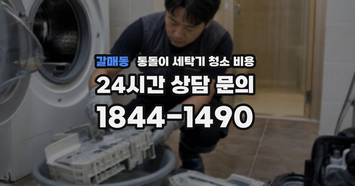 갈매동 통돌이 세탁기 청소 비용