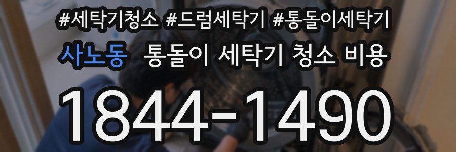 사노동 통돌이 세탁기 청소 비용