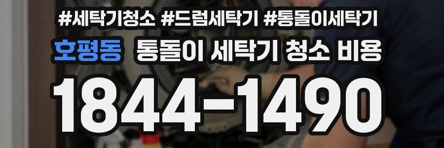 호평동 통돌이 세탁기 청소 비용