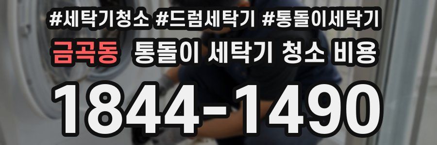 금곡동 통돌이 세탁기 청소 비용