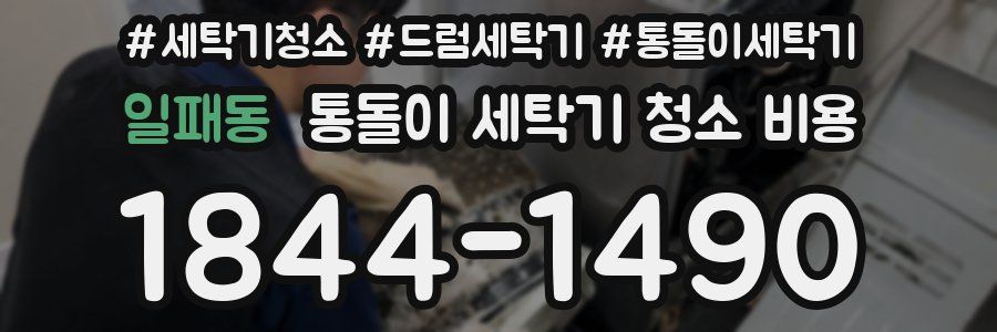 일패동 통돌이 세탁기 청소 비용