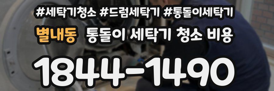 별내동 통돌이 세탁기 청소 비용
