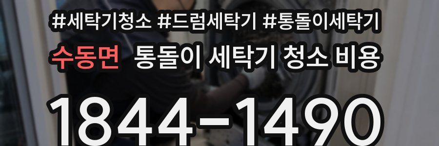 수동면 통돌이 세탁기 청소 비용