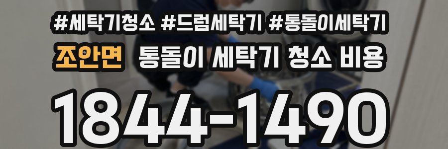 조안면 통돌이 세탁기 청소 비용