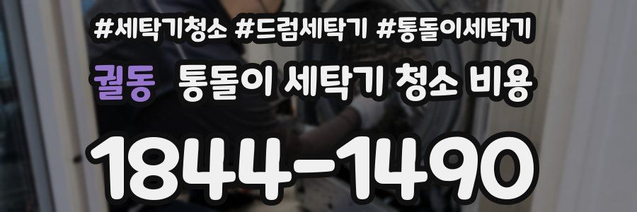 궐동 통돌이 세탁기 청소 비용