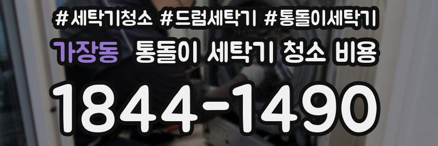 가장동 통돌이 세탁기 청소 비용