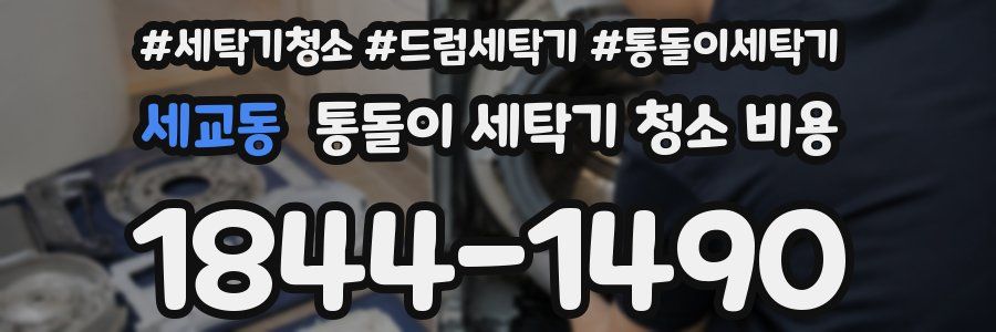 세교동 통돌이 세탁기 청소 비용