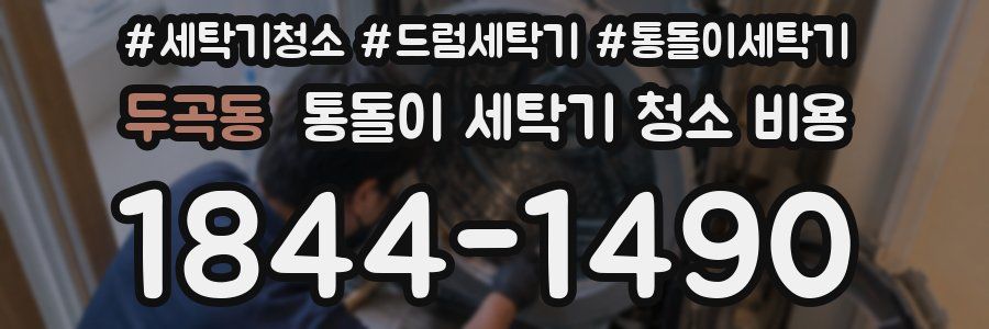두곡동 통돌이 세탁기 청소 비용