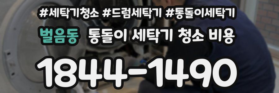 벌음동 통돌이 세탁기 청소 비용