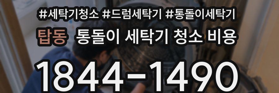 탑동 통돌이 세탁기 청소 비용