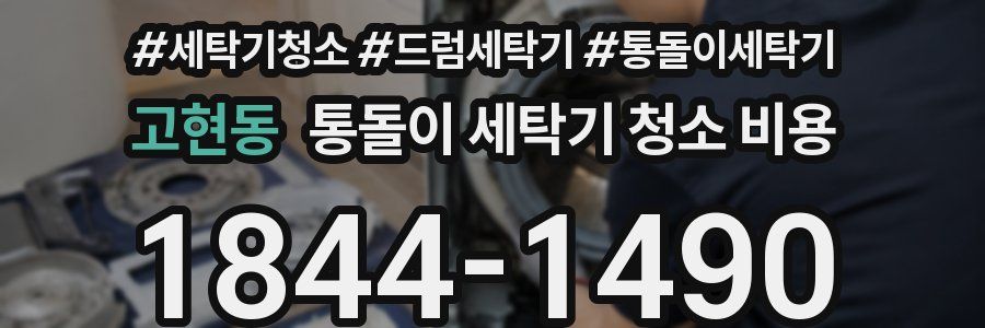고현동 통돌이 세탁기 청소 비용