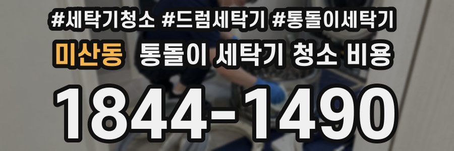 미산동 통돌이 세탁기 청소 비용
