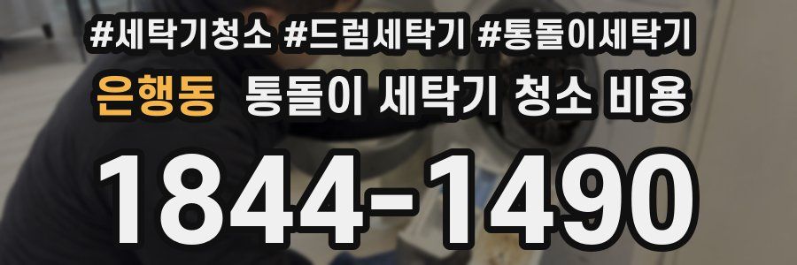 은행동 통돌이 세탁기 청소 비용