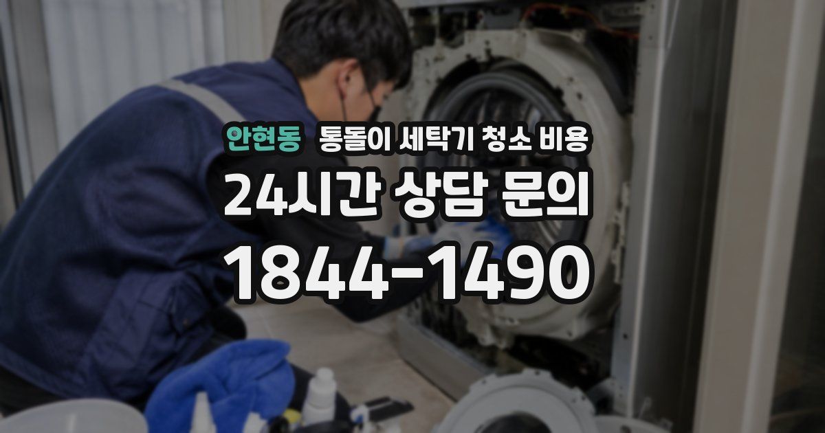 안현동 통돌이 세탁기 청소 비용