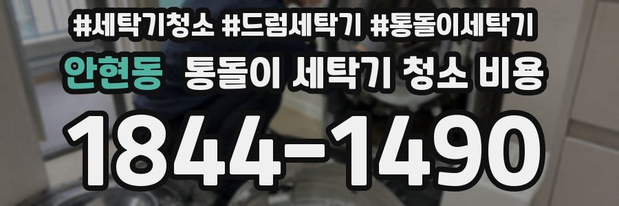 안현동 통돌이 세탁기 청소 비용