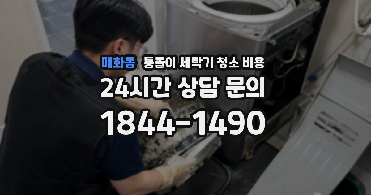 매화동 통돌이 세탁기 청소 비용
