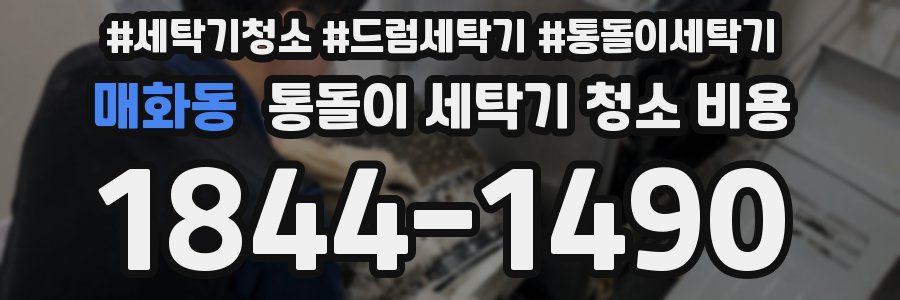 매화동 통돌이 세탁기 청소 비용