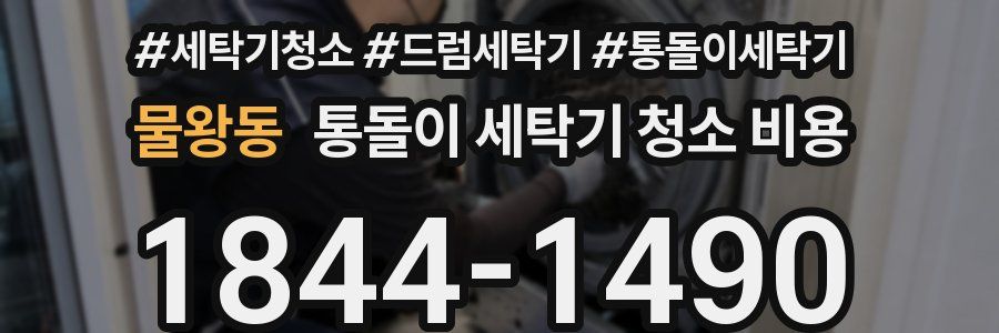 물왕동 통돌이 세탁기 청소 비용