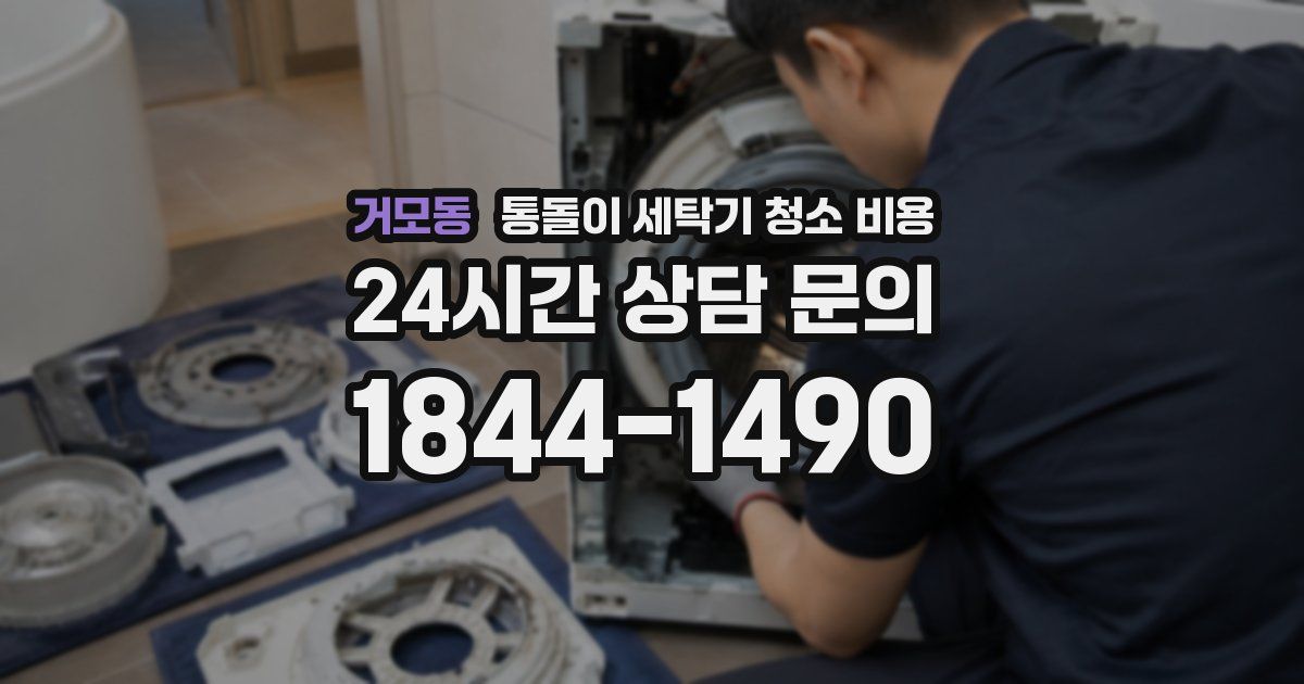 거모동 통돌이 세탁기 청소 비용