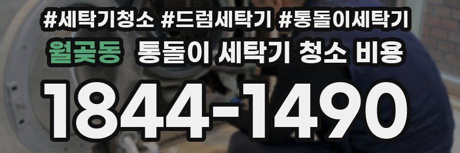 월곶동 통돌이 세탁기 청소 비용