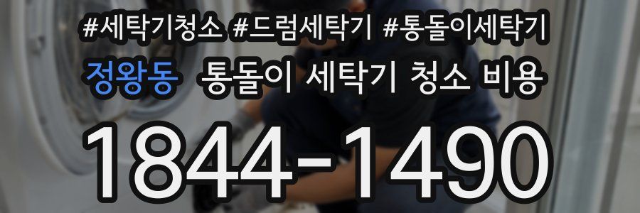 정왕동 통돌이 세탁기 청소 비용