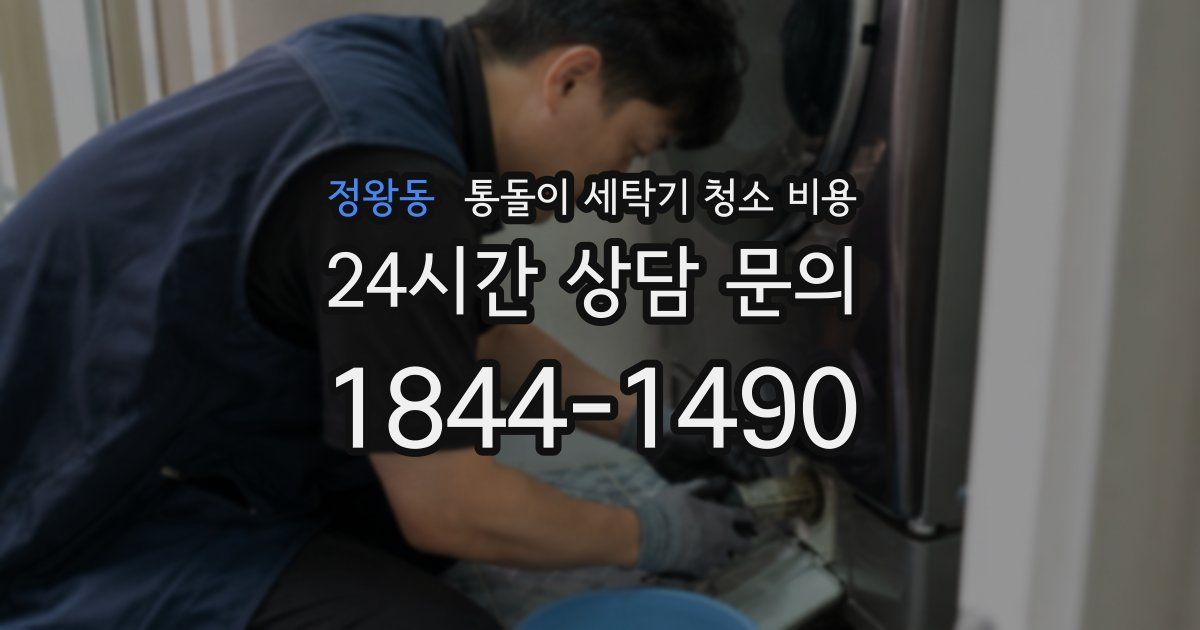 정왕동 통돌이 세탁기 청소 비용