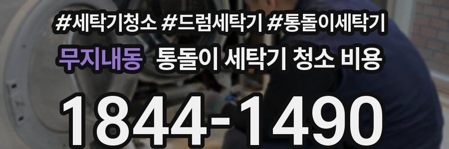 무지내동 통돌이 세탁기 청소 비용