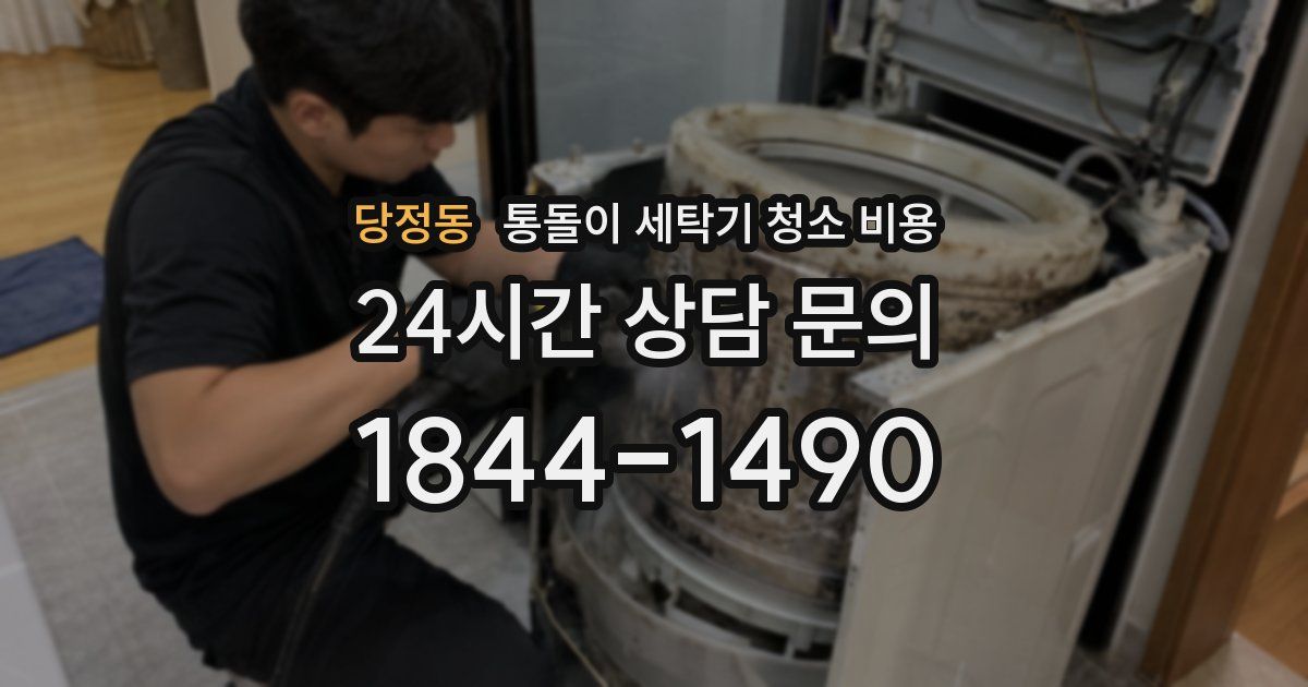 당정동 통돌이 세탁기 청소 비용
