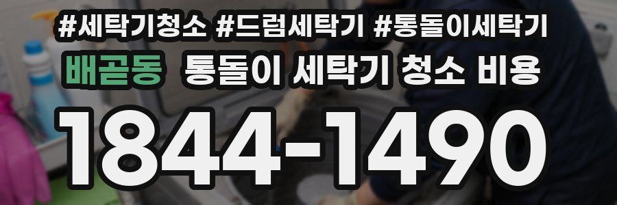 배곧동 통돌이 세탁기 청소 비용