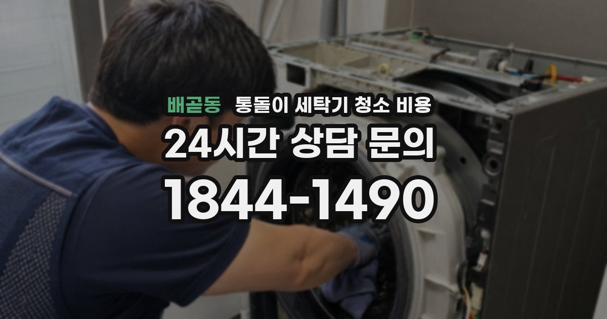배곧동 통돌이 세탁기 청소 비용