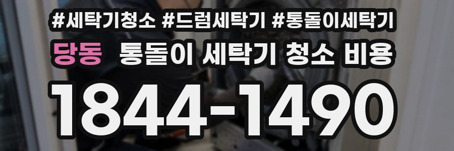 당동 통돌이 세탁기 청소 비용