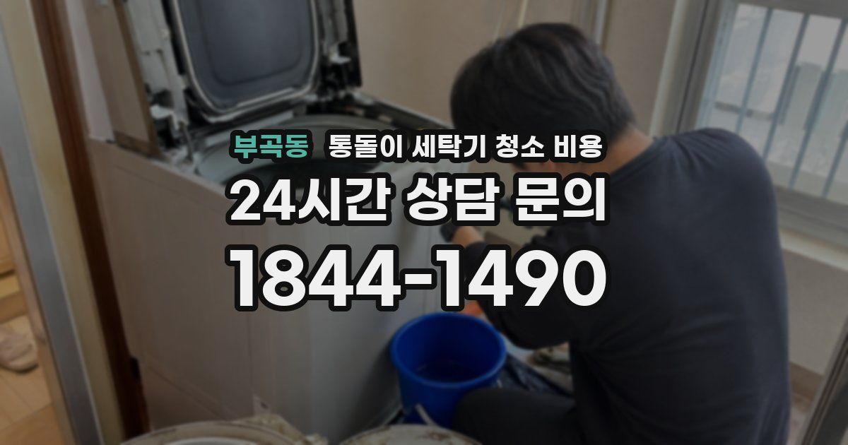 부곡동 통돌이 세탁기 청소 비용
