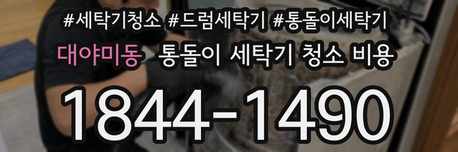 대야미동 통돌이 세탁기 청소 비용