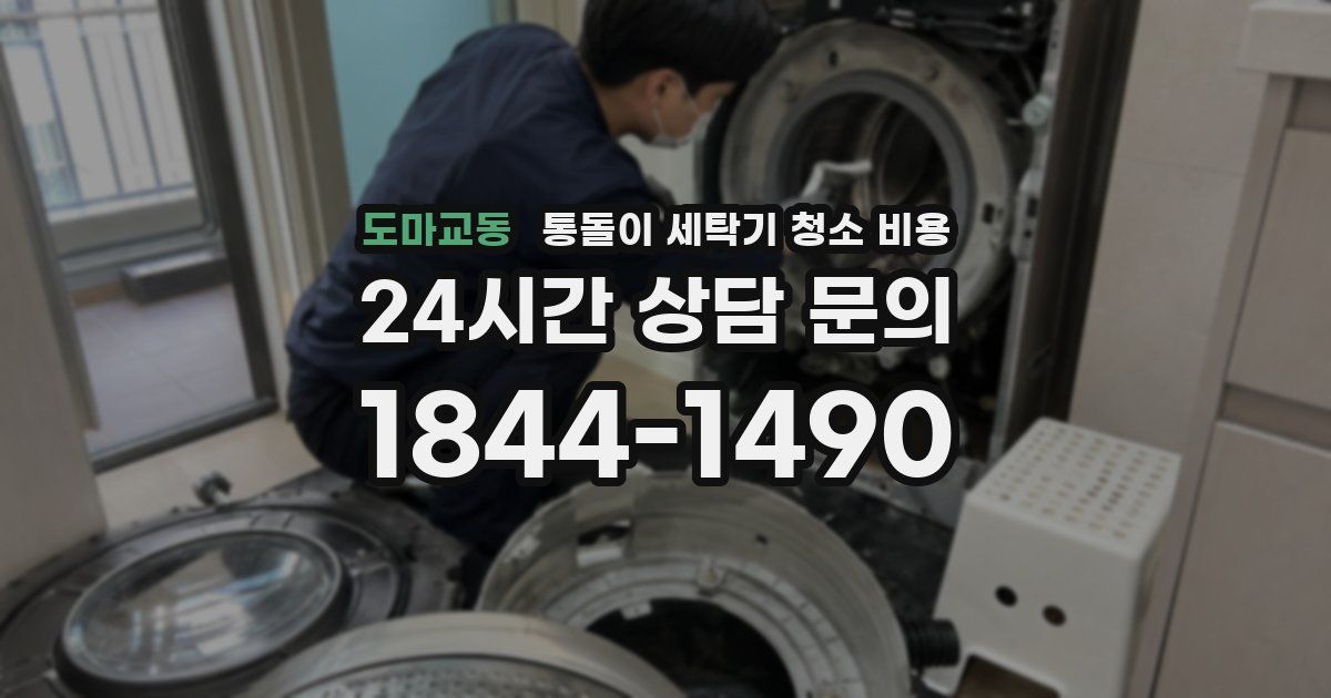 도마교동 통돌이 세탁기 청소 비용