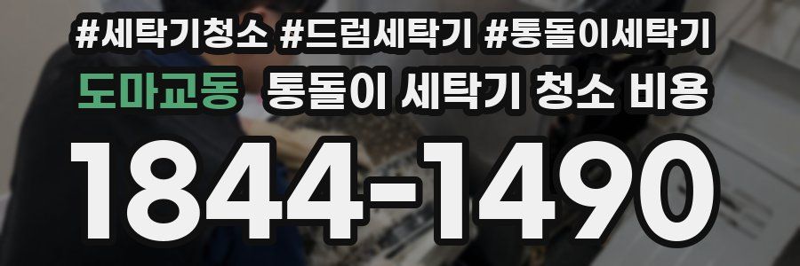 도마교동 통돌이 세탁기 청소 비용