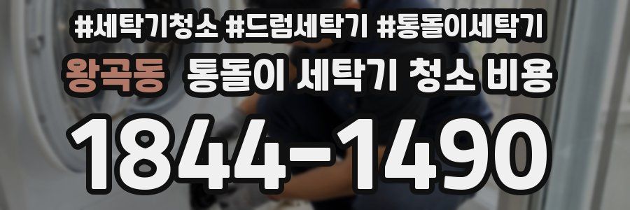 왕곡동 통돌이 세탁기 청소 비용