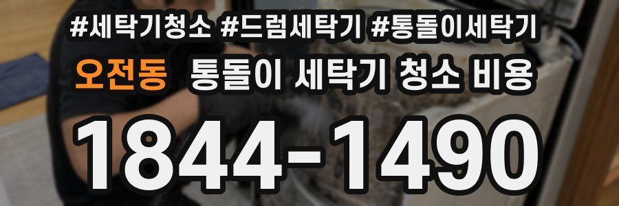 오전동 통돌이 세탁기 청소 비용